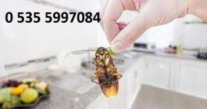 izmir böcek ve haşere ev ilaçlama servisi şirketi
